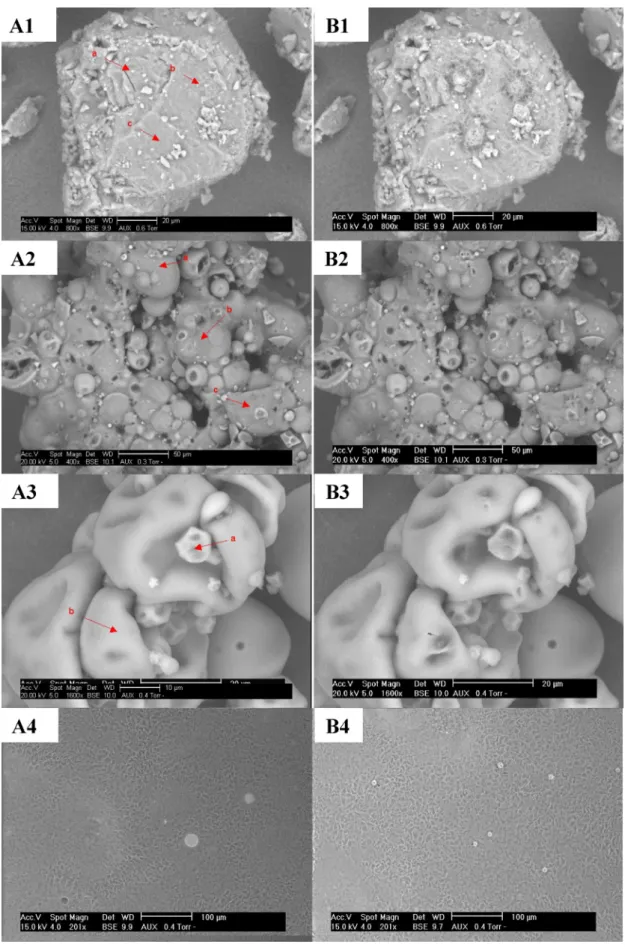 Fig. 2. Scanning electron micrographs before (A) and after (B) EDX analysis of lactose monohydrated powder (×800) (1), native whey isolate powder (×400) (2), native micellar casein powder (×1600) (3) and anhydrous milk fat (×200) (4).