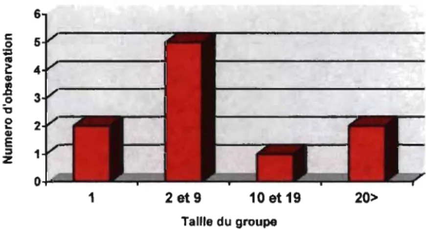 Figure 7 : Les regroupements des condors observés en colonies 