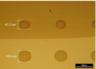 Figure S1. Optical microscopic view of polyimide ink single droplets deposited on polyimide film (top)  and Upilex (bottom) 