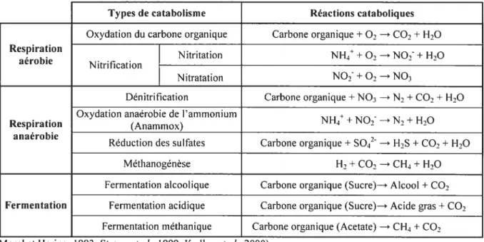 Tableau 1.1 : Les divers catabolismes et leurs réactions