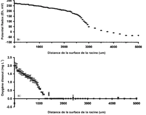 figure 1.6 Variation du potentiel redox et de la quantité d’oxygène selon la distance d’une racine en marais artificiel (Tiré de Bezbaruah et Zhang, 2004)
