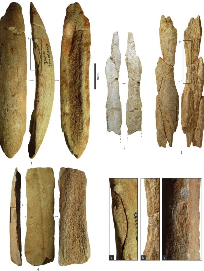 Fig. 5 – Exemples de produits baguettaires de l’abri Castanet I. 1 et 4 : pièces du secteur-nord ; 2 et 3 : pièces du secteur-sud ; a : éclat  adhérent ; b : encoche de percussion ; c : écrasement de la surface corticale.