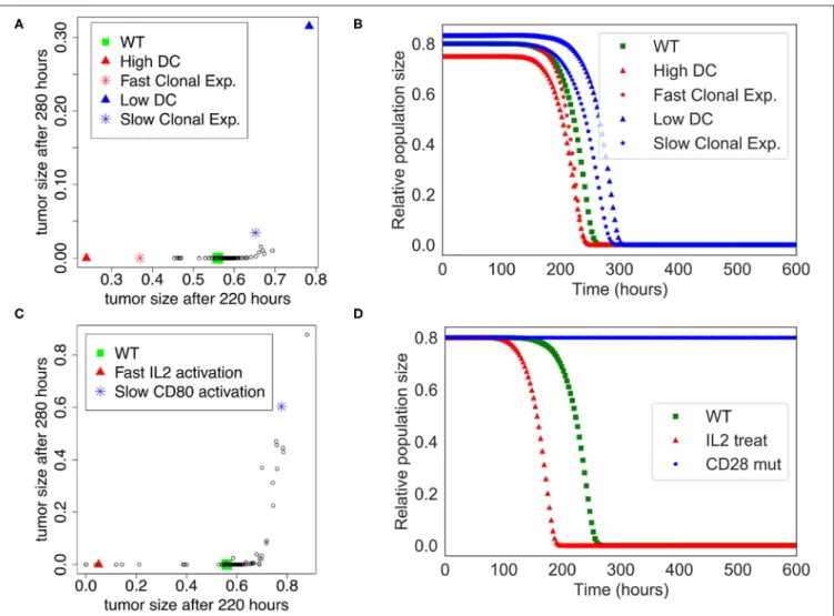 FIGURE 4 | Sensitivity analysis of the Extended Model. (A) Tumor size at time= 220 h vs