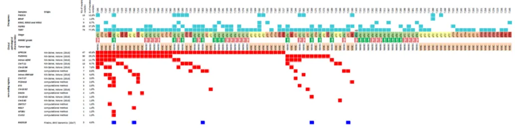 Figure 1. Non-coding mutation landscape, and clinical and biological characteristics of the bladder cancer series.