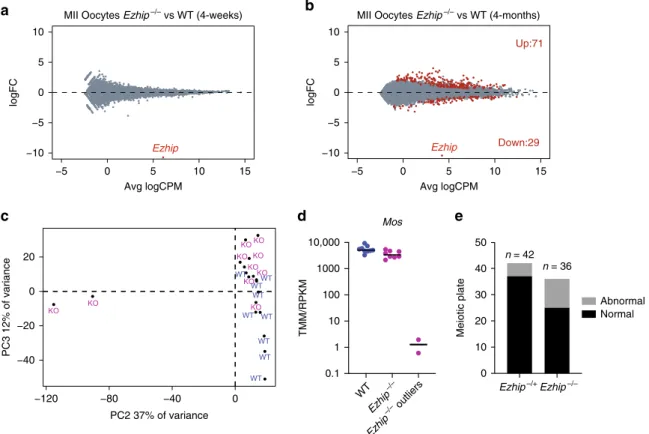 Fig. 7e). Our single oocytes RNAseq and staining of individual oocytes revealed some heterogeneity in oocyte maternal pool as well as in general competence for fertilization