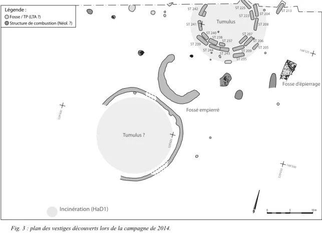 Fig. 3 : plan des vestiges découverts lors de la campagne de 2014. 168'500 168'525529'650529'625529'600N05 10 mLégende :Fosse / TP (LTA ?) 