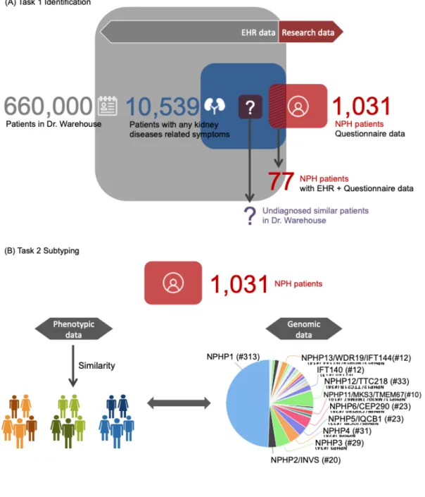 Figure 1 Schema of evaluation 