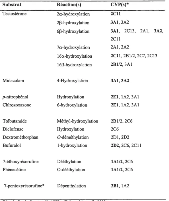 Tableau III. Substrats-marqueurs utilisés dans le CYPs hépatiques de rats.