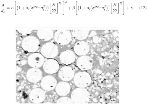 Fig. 7 Fiber-matrix interface decohesion as a main local damage mechanism in SMCs [29]