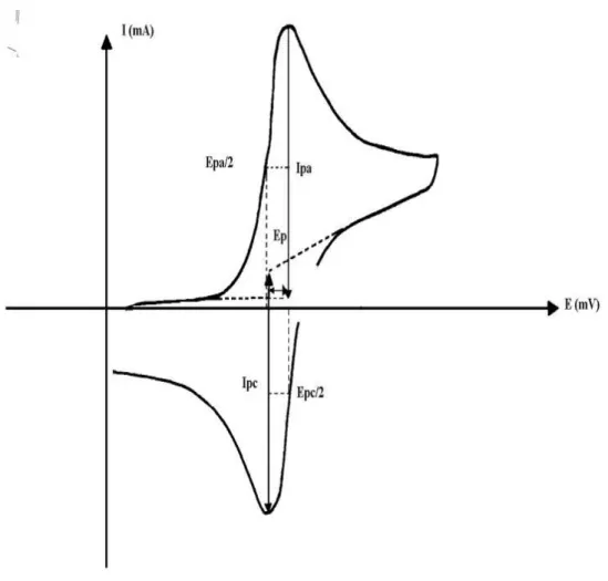 Figure III.2 : L’allure générale de la courbe voltampérométrique et ces grandeurs caractéristiques  [30]