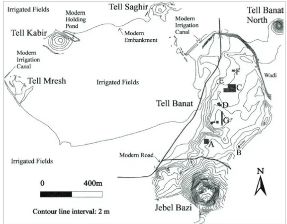 Fig. 5 : plan du site de tell Banat (POrtEr 2002a, fig. 2)