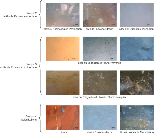 Fig. 4 – Vues macroscopiques des faciès pétrogéographiques individualisés à la grotte de l’Observatoire  (DAO : G