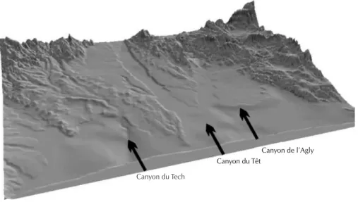 Fig. 1. Morphologie de la plaine du Roussillon lors du dernier maximum glaciaire.