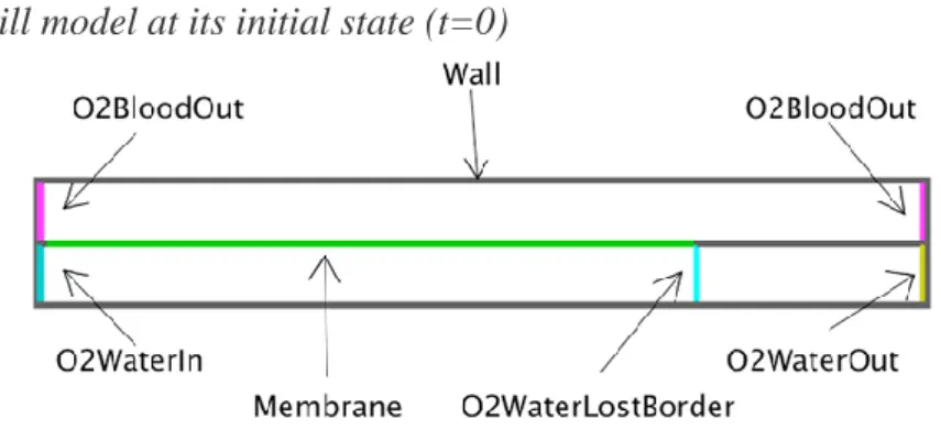 Figure 10 shows how entities are located in their grid environment at t=0.  