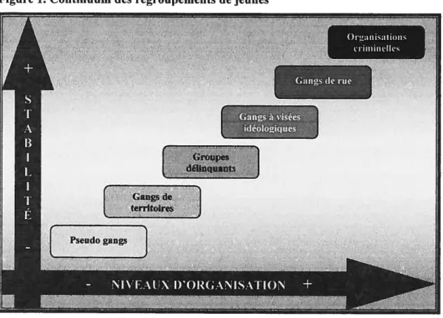 Figure 1. Continuum des regroupements de jeunes