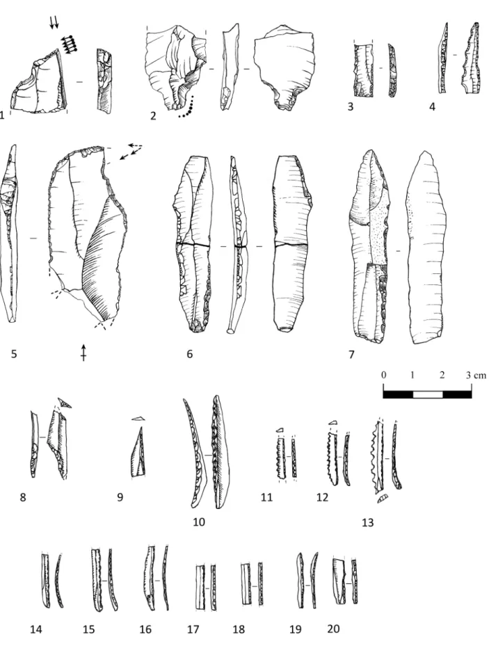 Fig. 11 – 1 à 7 : Bourrouilla (Dessin M. Dachary) ; 1, 2, 4, 5 et 7 : fouille clandestine ; 3 : B3 ; 6 : B2