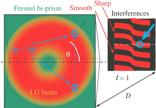 Figure 2. Schematic of the phase of the LG beam impinging on the Fresnel bi-prism.