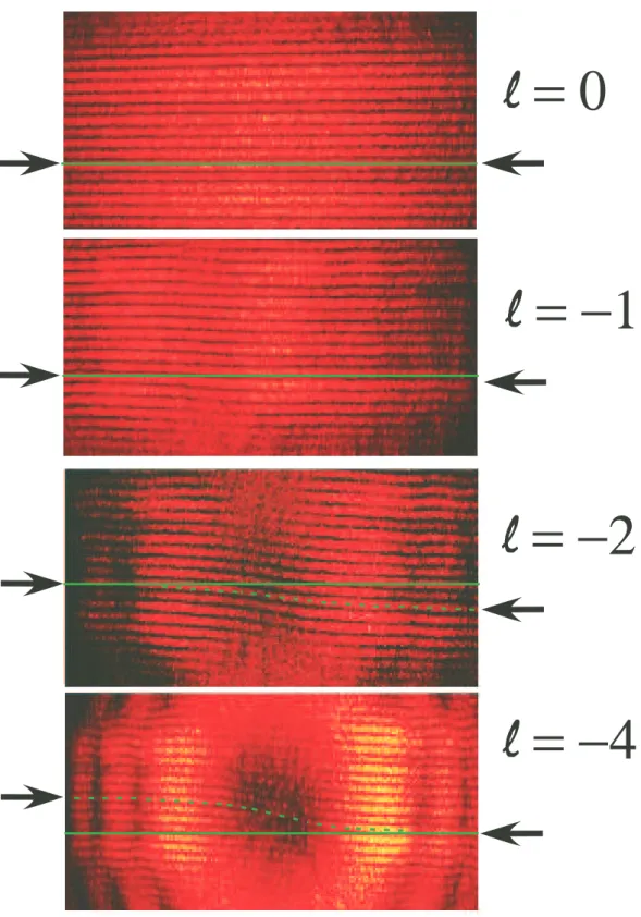 Figure 4. Fresnel bi-prism interference patterns. Twisted interference patterns for beams with ℓ = 0, ℓ = −1, ℓ = −2, and ℓ = −4