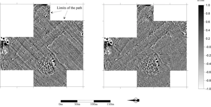 Fig. 5. Magnetic map of a path in the royal gardens of Pasargades (Iran). Original magnetic map where the path is visible but  disturbed  by  ploughing  effect