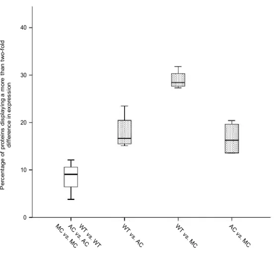 Figure 3.3: Protein expression comparisons in C. eos wild type and cybrids. Among  the  132  studied  proteins,  only  the  ones  presenting  a  more  than  two-fold  difference  in  expression were considered