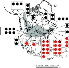 Figure  4.1  :  Distribution  des  cybrides  (en  noir)  et  des  types  sauvages  (en  rouge) du complexe Chrosomus eos-neogaeus