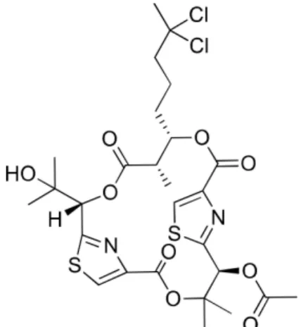 Figure 18. Chemical structure of hectochlorin.