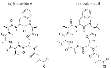Figure 22. Chemical structure of itralamides A and B.