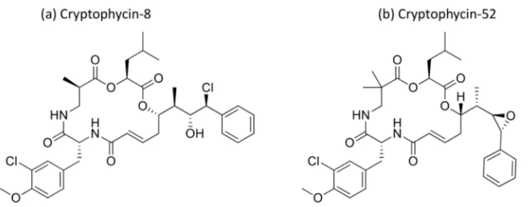 Figure 12. Chemical structure of cryptophicins.