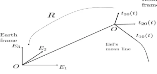 Fig. 2. Frames and parametrization of the reduced eel-like robot model