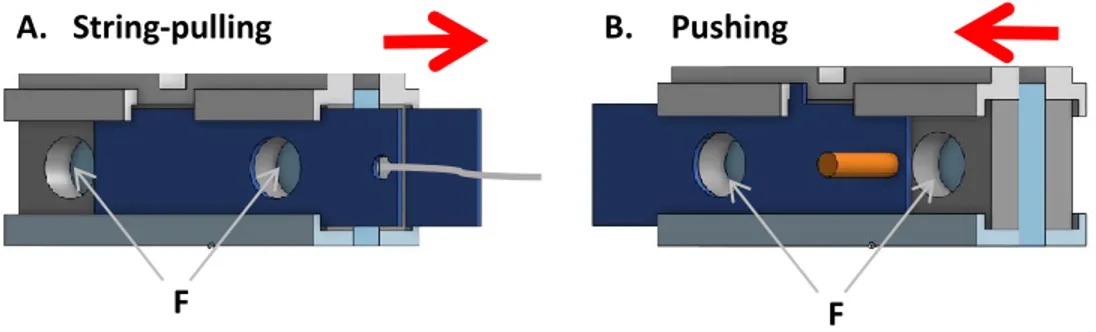 Figure 2. Problem-solving tasks that required a model to either pull a string (A) or push away a piece of wood  (B) in order to slide the cover on the two food dispensers (F) and get access to the food
