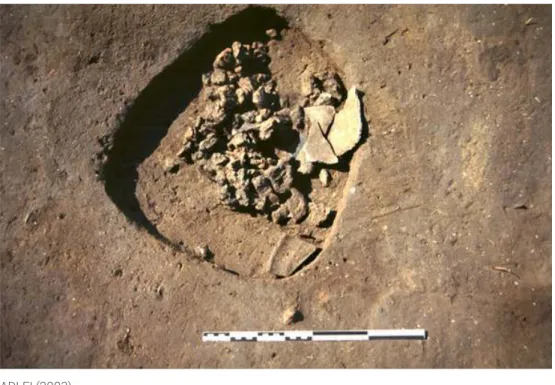 Fig. n°11 : Comblement de torchis et de céramiques de la fosse ST62