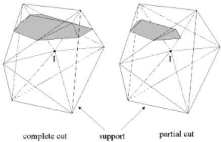 Figure 1: The two iso-zero level sets defining the crack location.