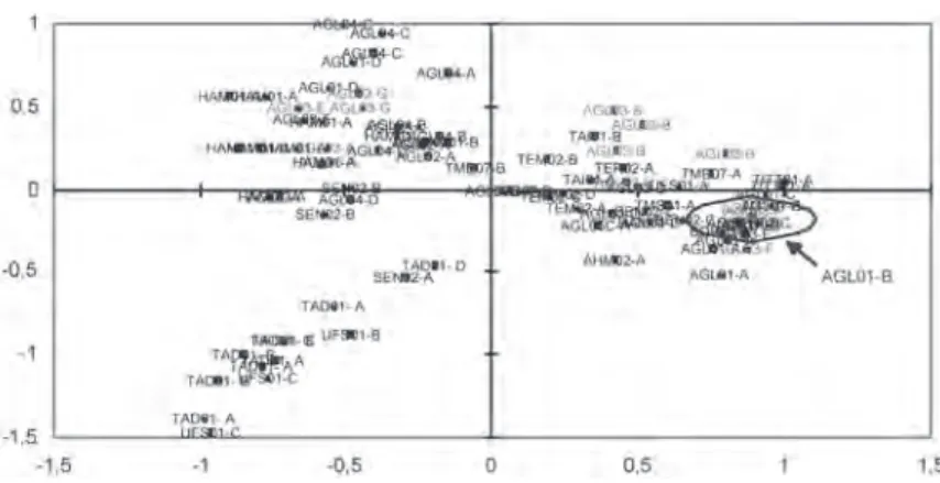Fig. 6. Graphique  symétrique des  observations (axes  F1 et F2 : 72%).