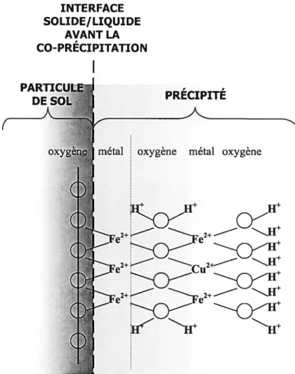 Figure 5 Représentation schématique de la co-précipitation de Cu associée à un hydroxyde de Fe à la surface d’une particule de sol (Scheidegger et $parks, 1996).