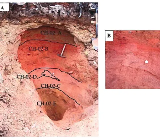 Figure 3.6 A) Coupe de sol du site du mont Chauve B) Zone s’apparentant à une roche fantôme