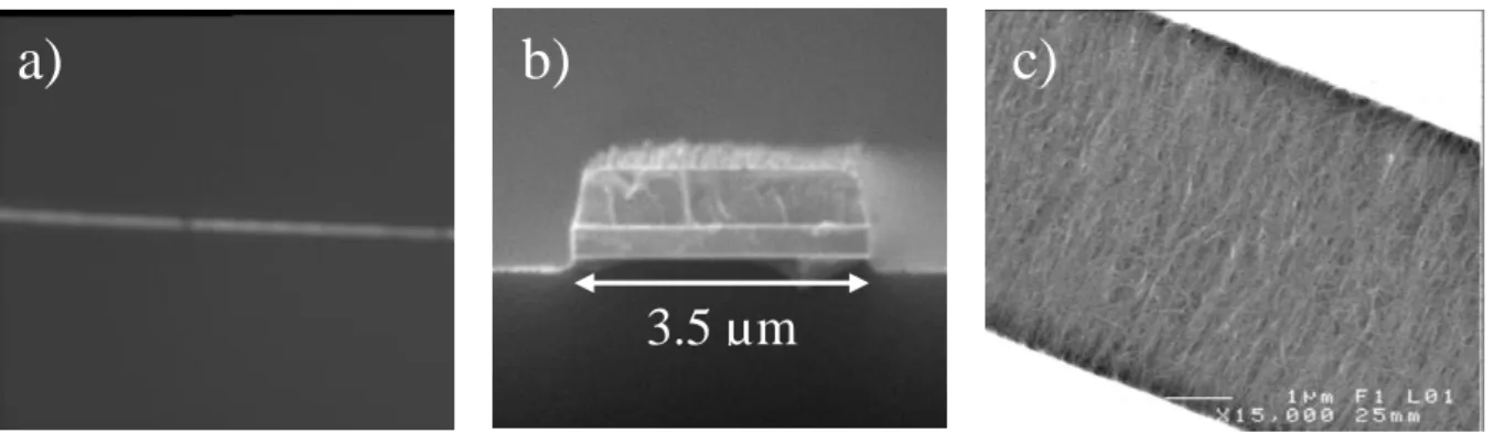 Fig. 2: a) Intensity profile of the planar SWCNT incorporated-waveguide output, b) SEM picture of ridge SiN x