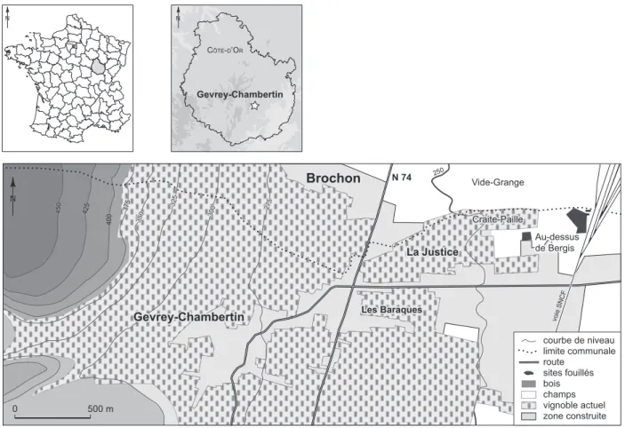 Fig. 52 – Carte de localisation des sites fouillés au lieu-dit Au-dessus de Bergis en 2008 et 2009 (DAO : B