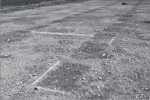 Fig. 56 – Dimensions et espacements des fosses en mètres et en multiples du pied romain (29,64 cm)   (cliché : J.-P