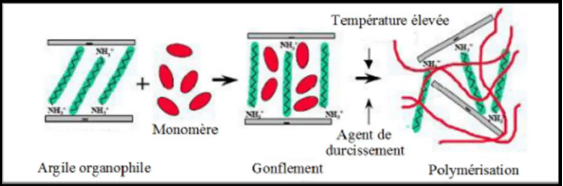 Figure III.2 : Structure de nanocomposite par polymérisation in-situ. 