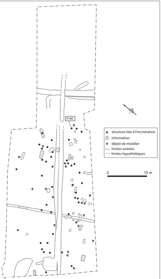 Fig. 1. Plan général du site  (DAO : D. Bouquin).