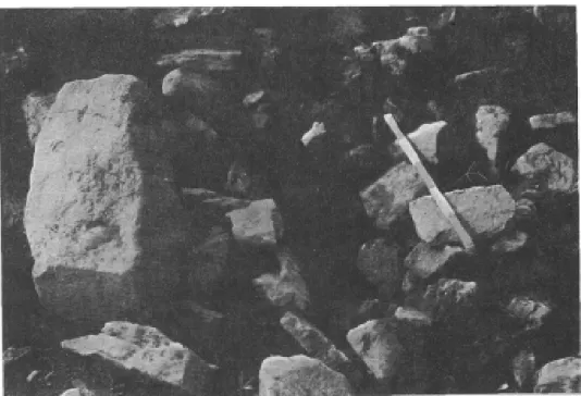 Fig 7.  Vue  en  coupe 