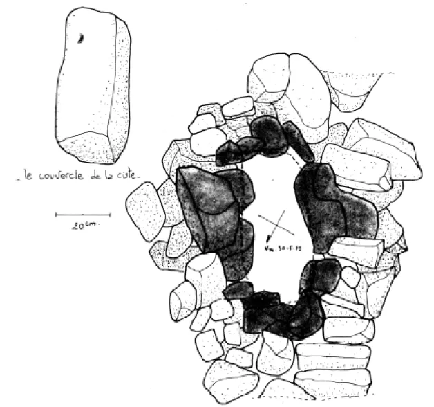 Fig.  8.  Disposition  general  de  la  ciste. 