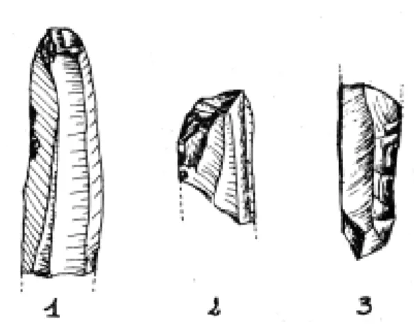 Fig.  4.  Les  silex  de  Bixustia. 