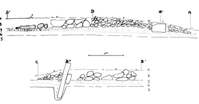 Fig.  2.  Coupe  frontale  Est-Ouest 