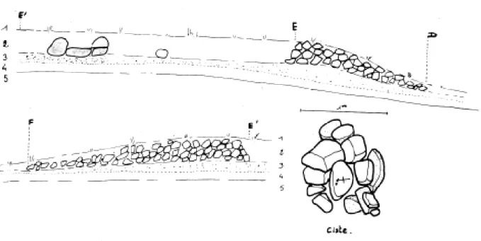 Fig.  3.  Coupe  frontale Nord-Sud,  et  ciste  centrale 