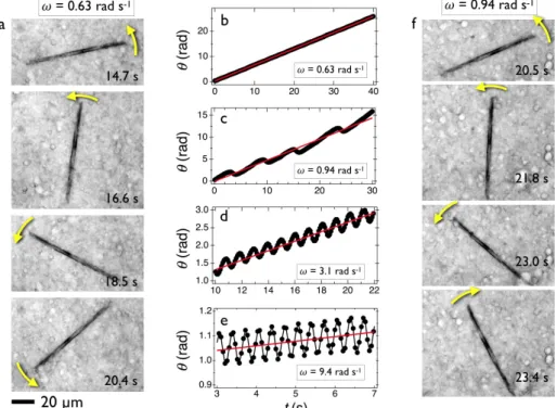 Figure 3: a) Optical microscopy images of a 94  µm wire in Curosurf® 40 g L -1  subjected to a  rotating field of 10.3 mT at the frequency of 0.63 rad s -1  (T = 25 °C)