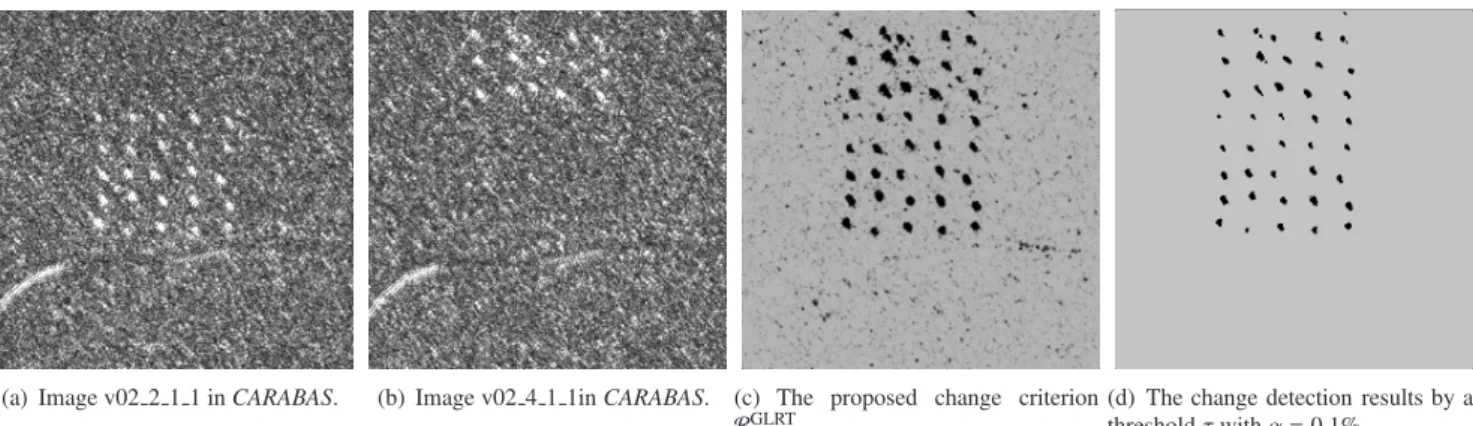 Figure 9: Change detection results of real SAR images CARABAS ( Sensor Data Management System (SDMS) Public web site, 2008).