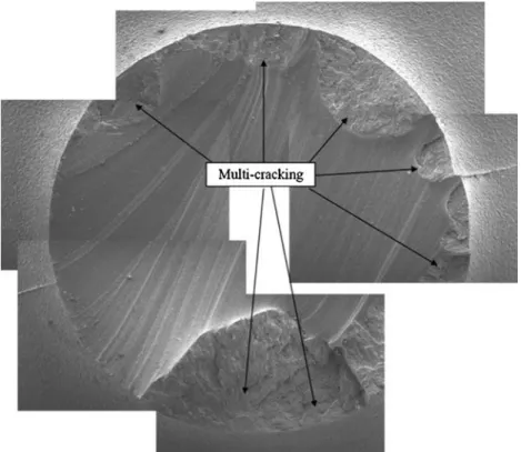 Fig. 16. Macroscopic cracks that initiate at the specimen surface. 