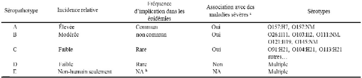 Tableau  2.  Classification  des  STEC  en  séropathotypes.  Selon  Karmali  et  al. 