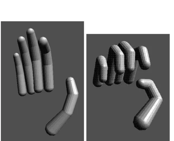 Figure 8 – Deux positions du mode`le 3D de la main (OpenGL)